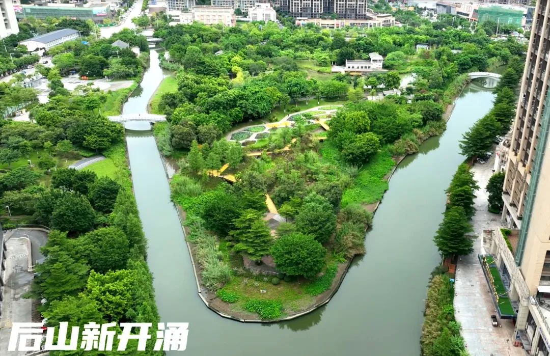 后山新开涌水质照片.jpg 图片